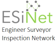 ESiNet Logo